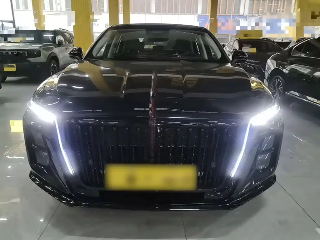 Hongqi Hongqi H5 — миниатюра 3