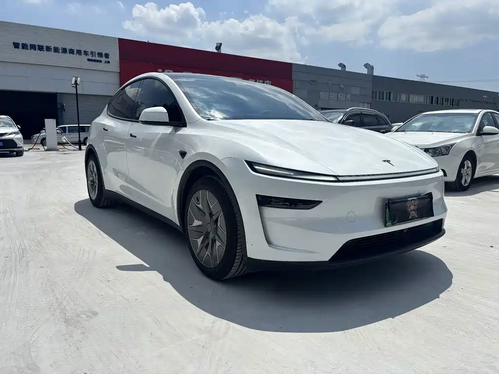 Tesla Model Y L — миниатюра 3