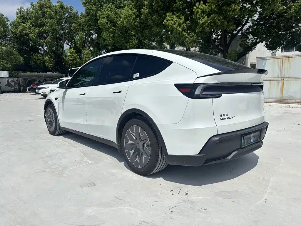 Tesla Model Y L — миниатюра 10