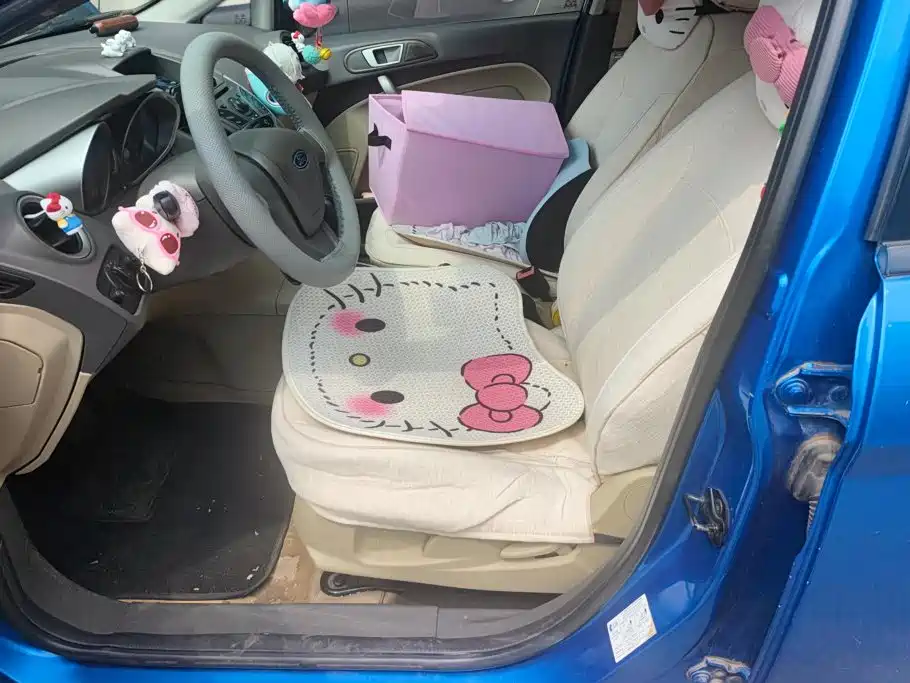 Ford Fiesta — миниатюра 9