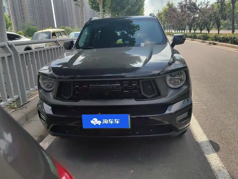 Haval Плюс новая энергия. — миниатюра 2