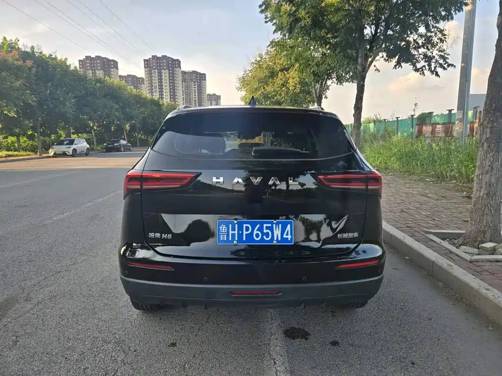 Haval H6 — миниатюра 8