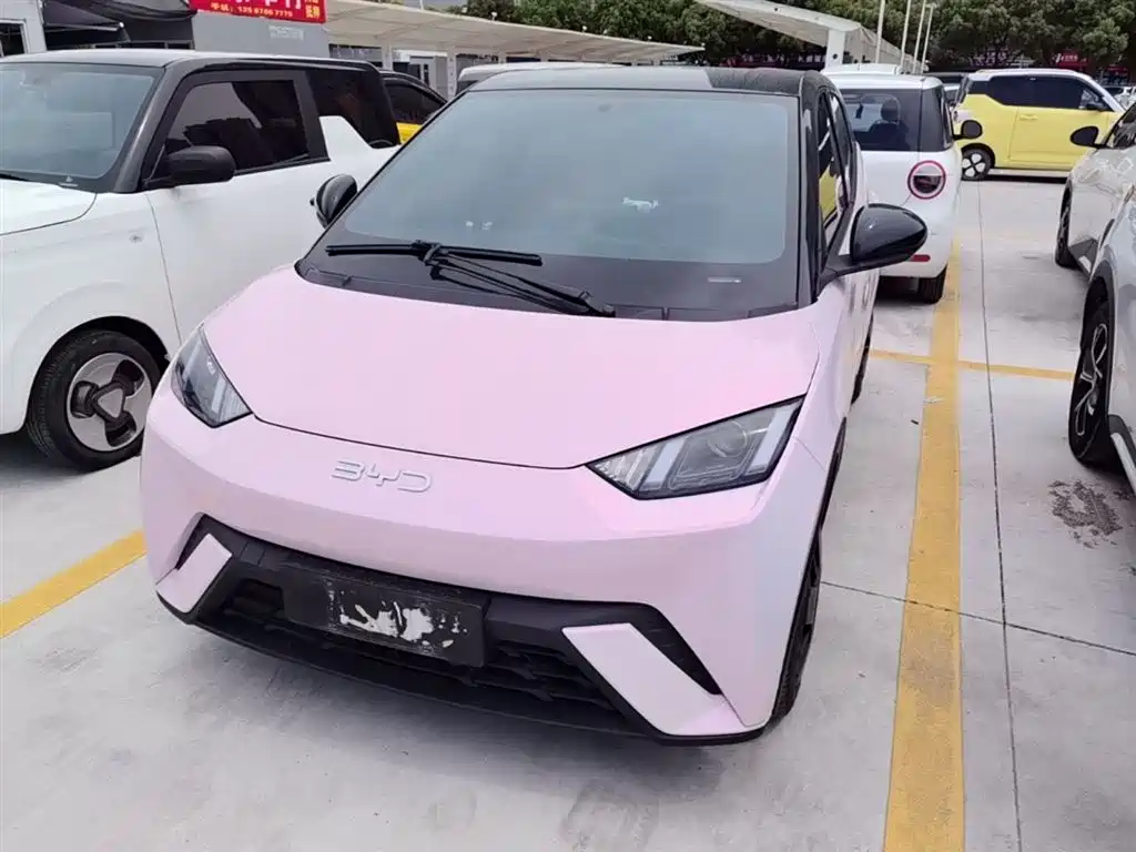 BYD Seagull 2024 Glory Edition 305km Vitality Edition