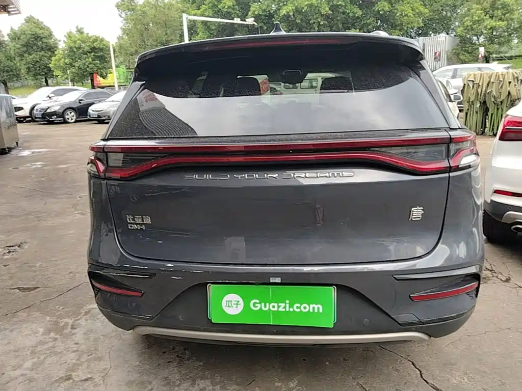 BYD Tang New Energy — миниатюра 6