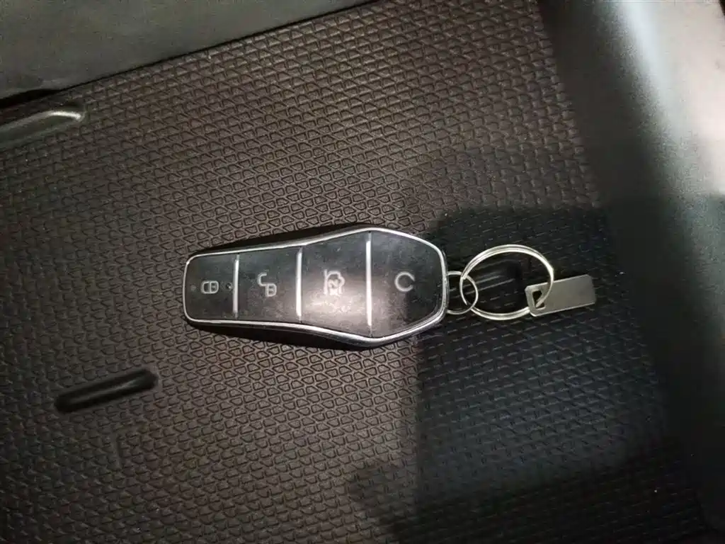 BYD Yuan Up UP 2025 301KM