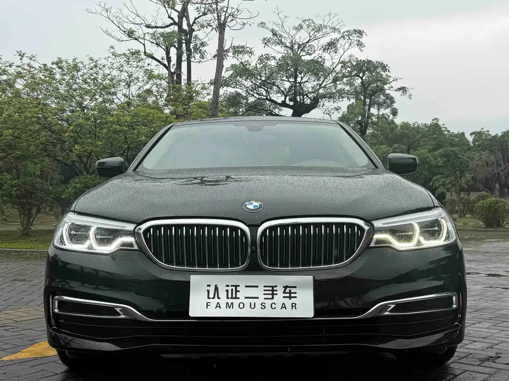 BMW 5 Series 5 2020 530Li Premium Luxury