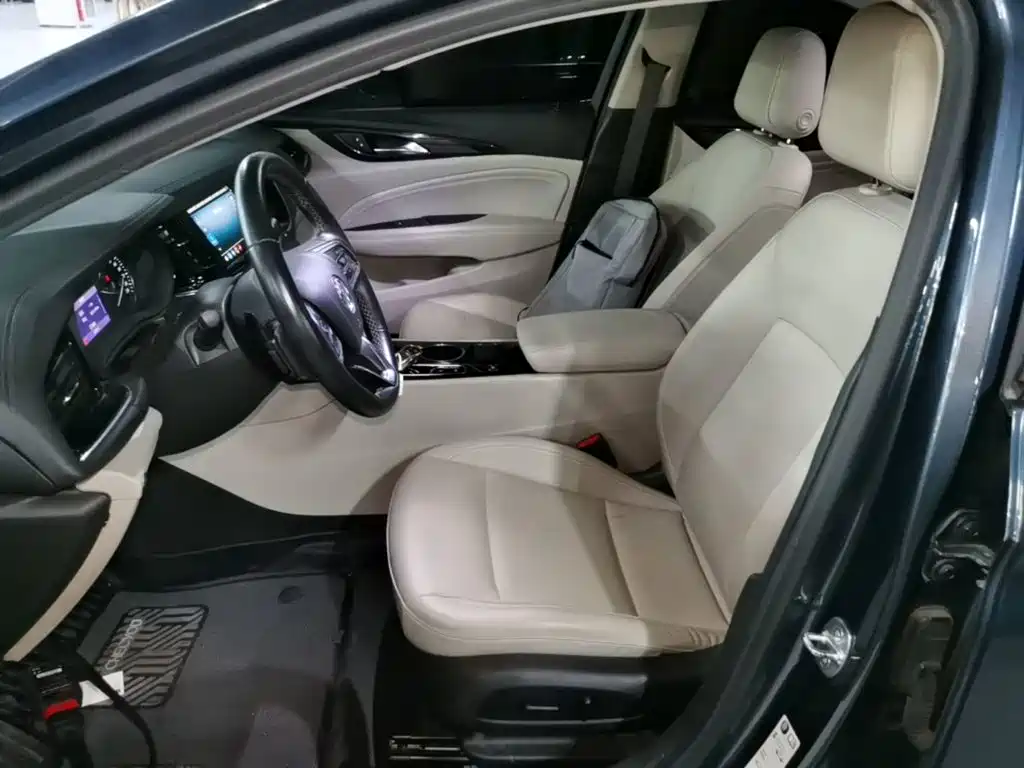 Buick Regal — миниатюра 15