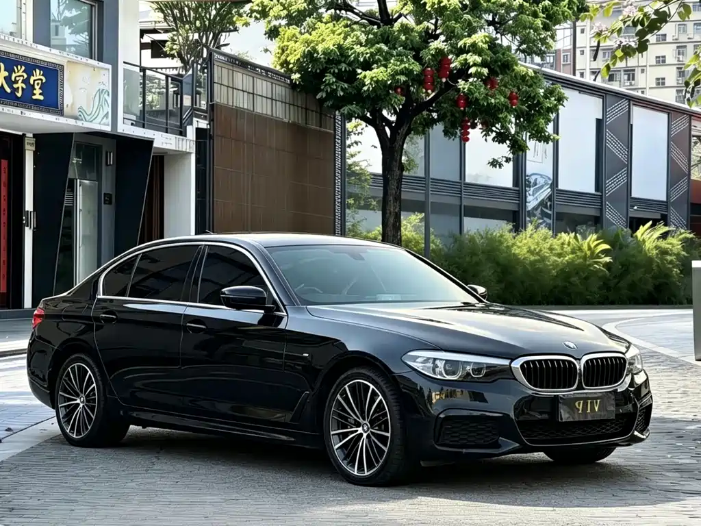 BMW 5 Series 5 2019 530Li Lead M Sport