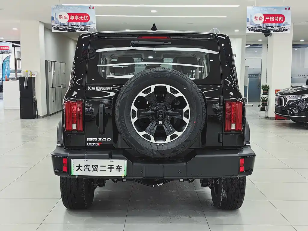 TANK TANK 300 NEW ENERGY