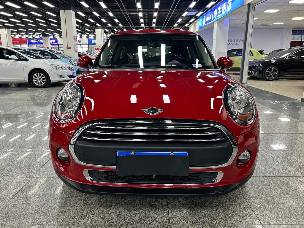Mini Mini 2015