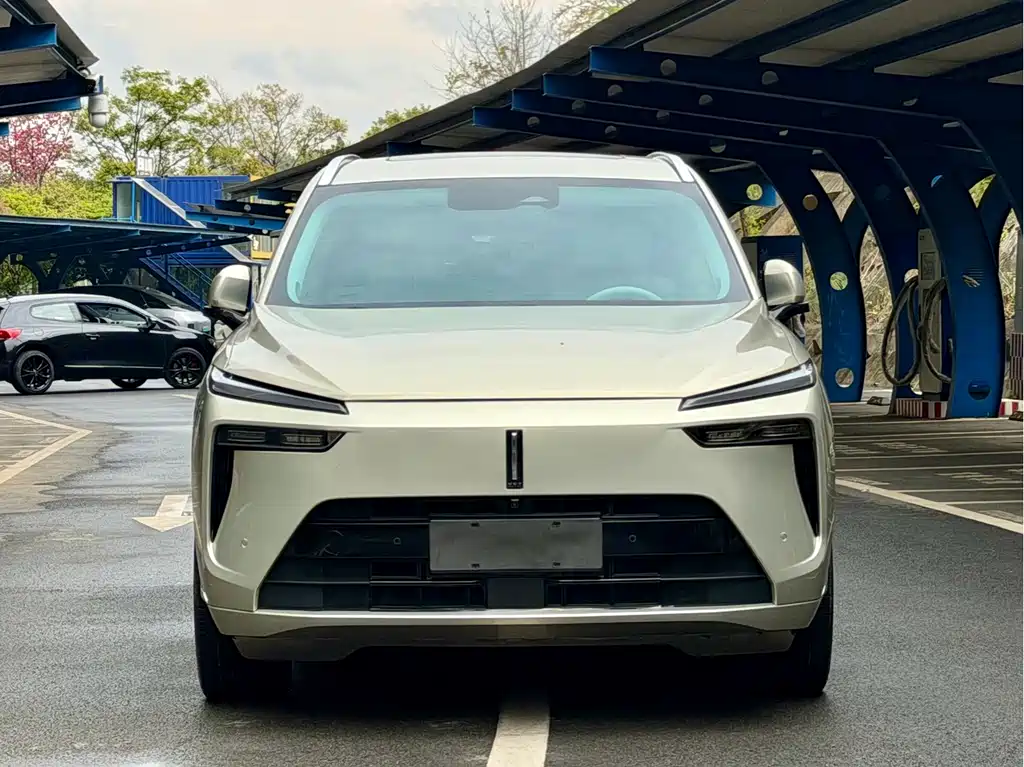 WEI PAI WEI BRAND BLUE MOUNTAIN