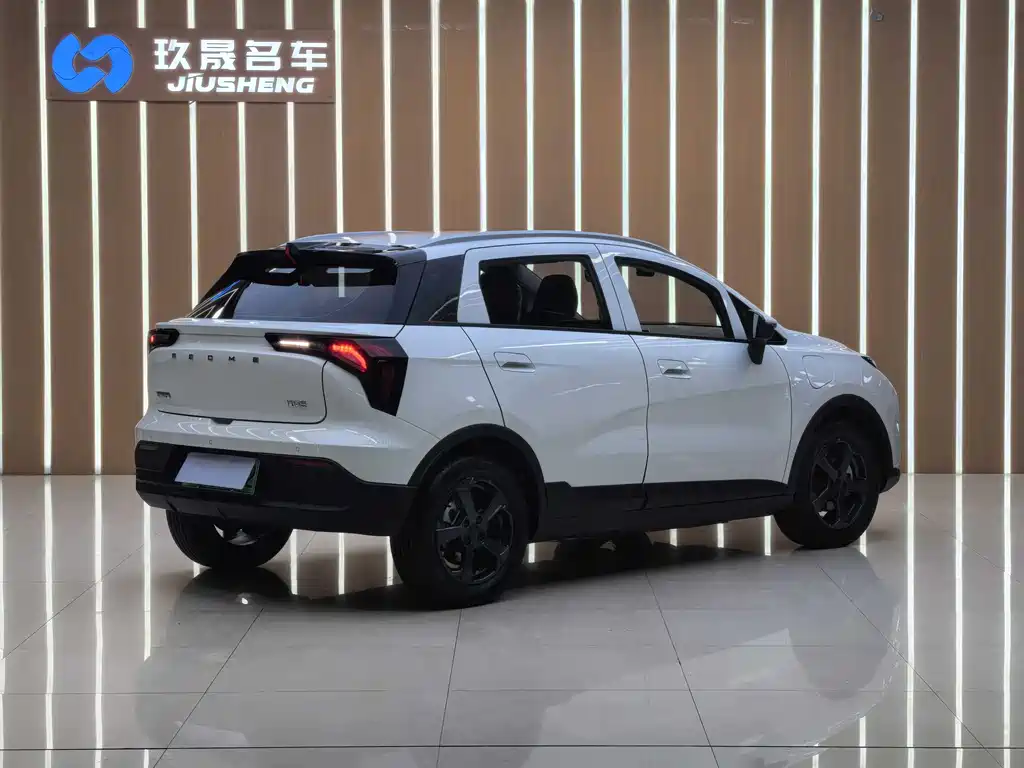 GEELY GEOMETRY E FIREFLY