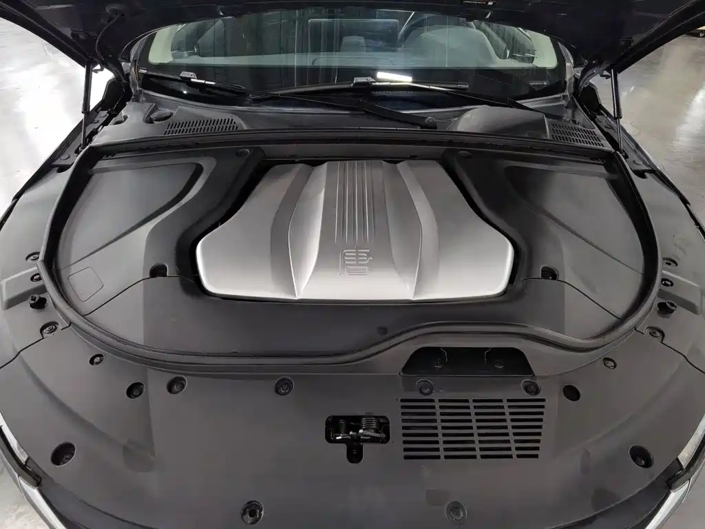 BYD Tang New Energy — миниатюра 6