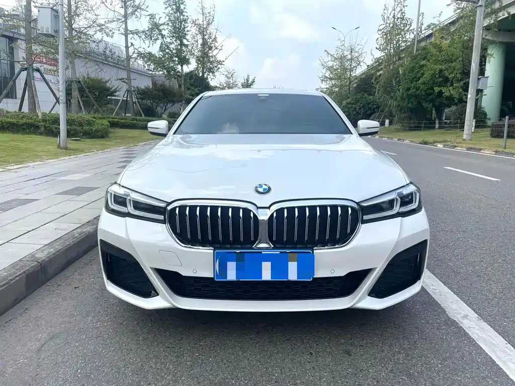 BMW 5 Series — миниатюра 2
