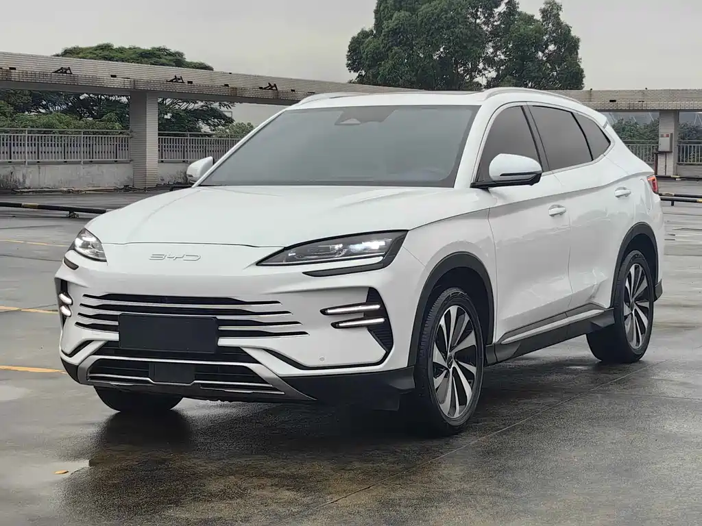 Byd PLUS New Energy 2024