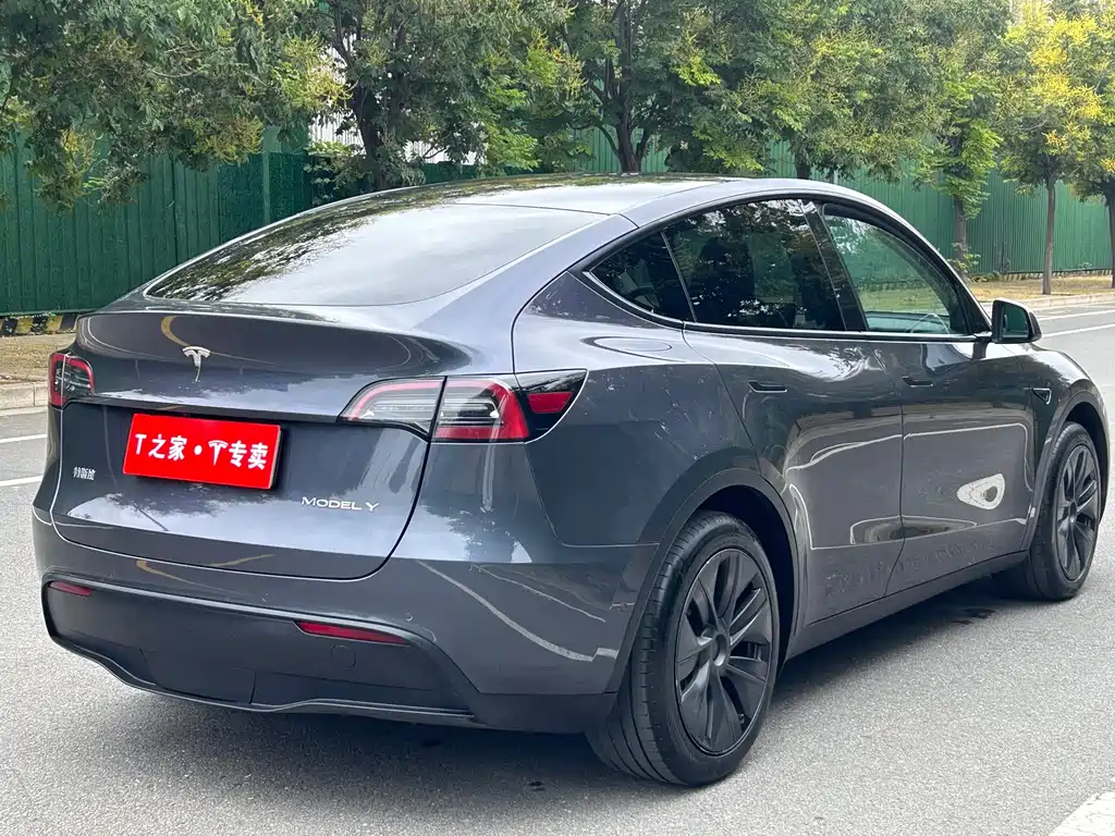 Tesla Model Y — миниатюра 12