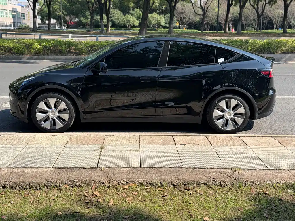 Tesla Model Y — миниатюра 4