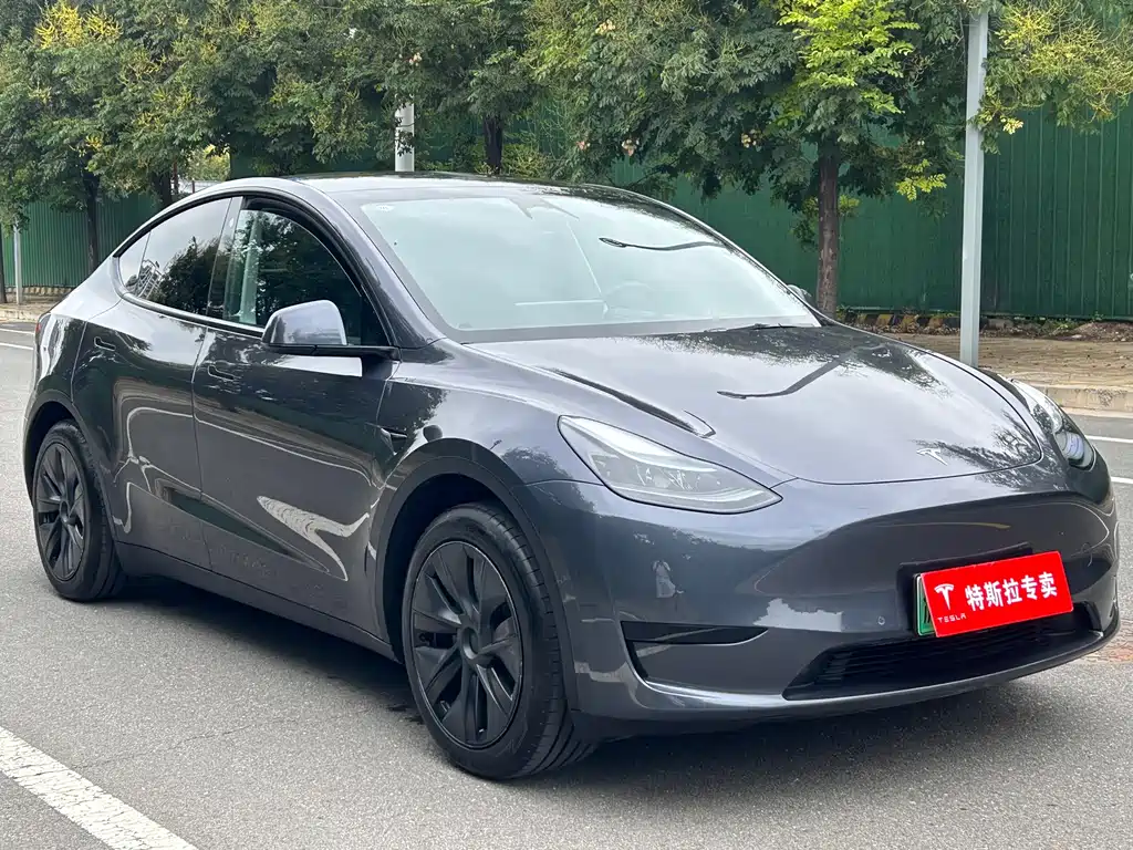 Tesla Model Y — миниатюра 3