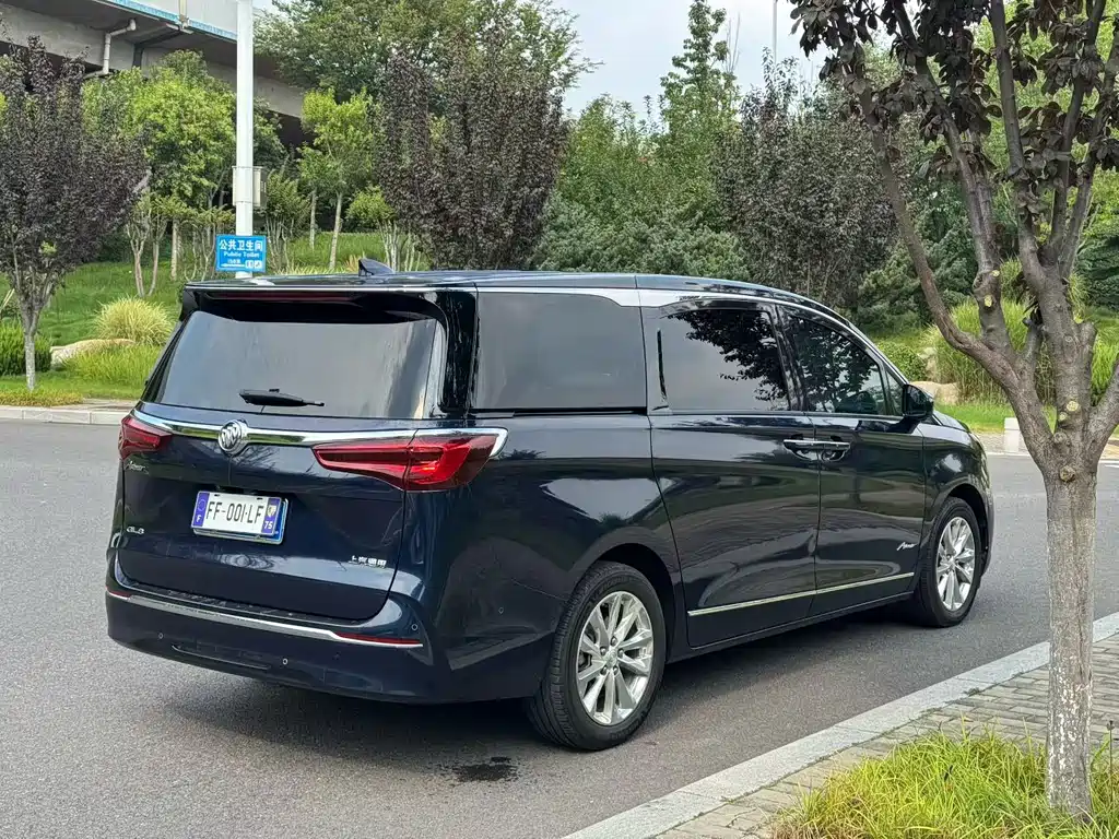 Buick GL8 — миниатюра 9