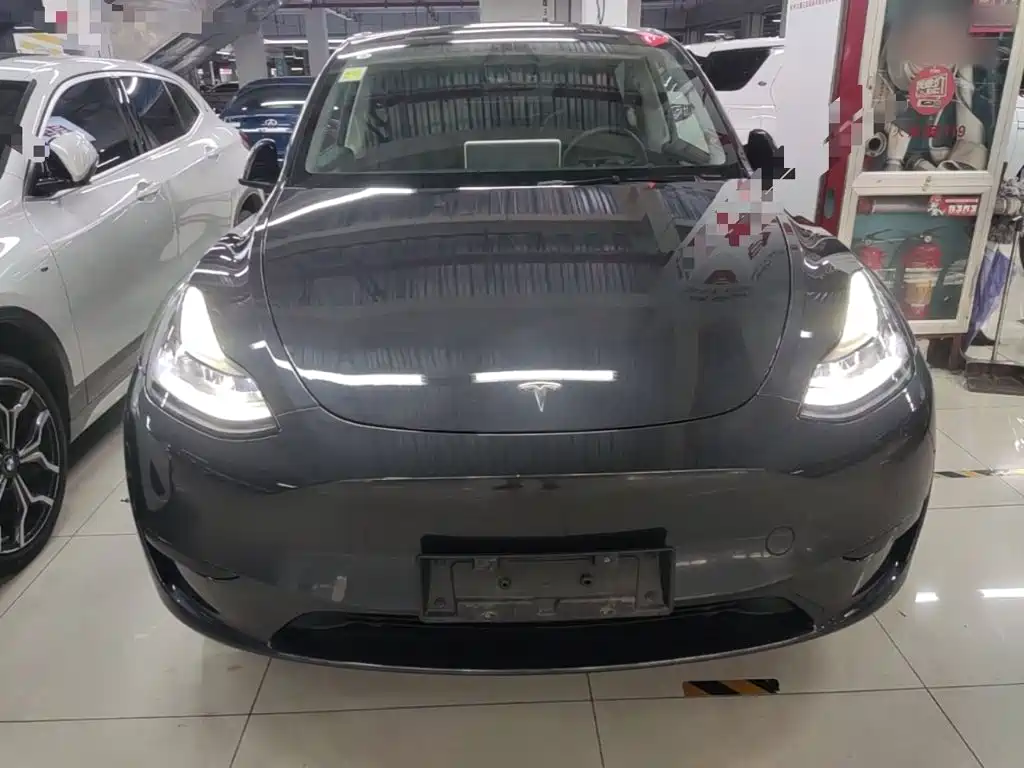 Tesla Model Y — миниатюра 3