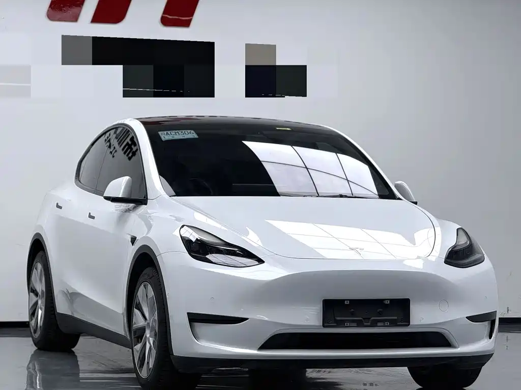 Tesla Model Y — миниатюра 2