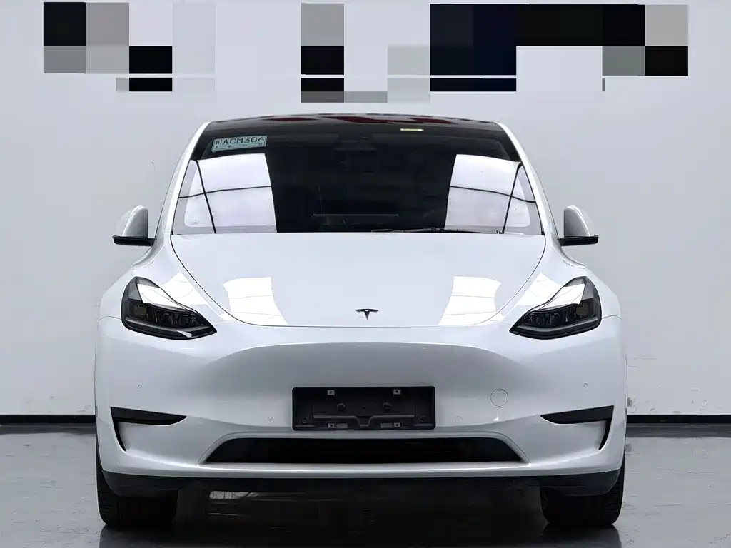 Tesla Model Y — миниатюра 3