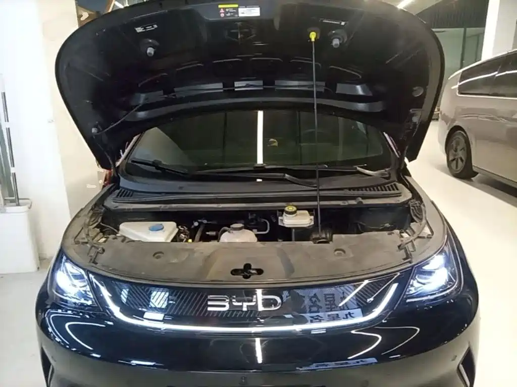 BYD Dolphin — миниатюра 20