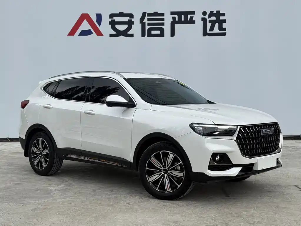 Haval H6 — миниатюра 3