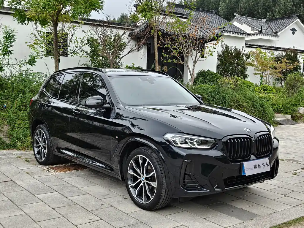BMW X3 — миниатюра 3