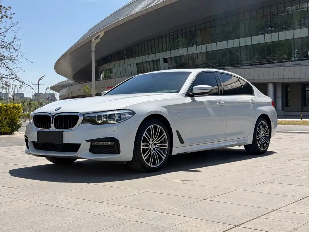 BMW 5 Series 2019
