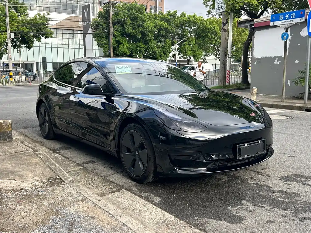 Tesla Model 3 — миниатюра 3