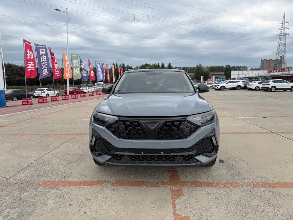 Jetta VS5 — миниатюра 2