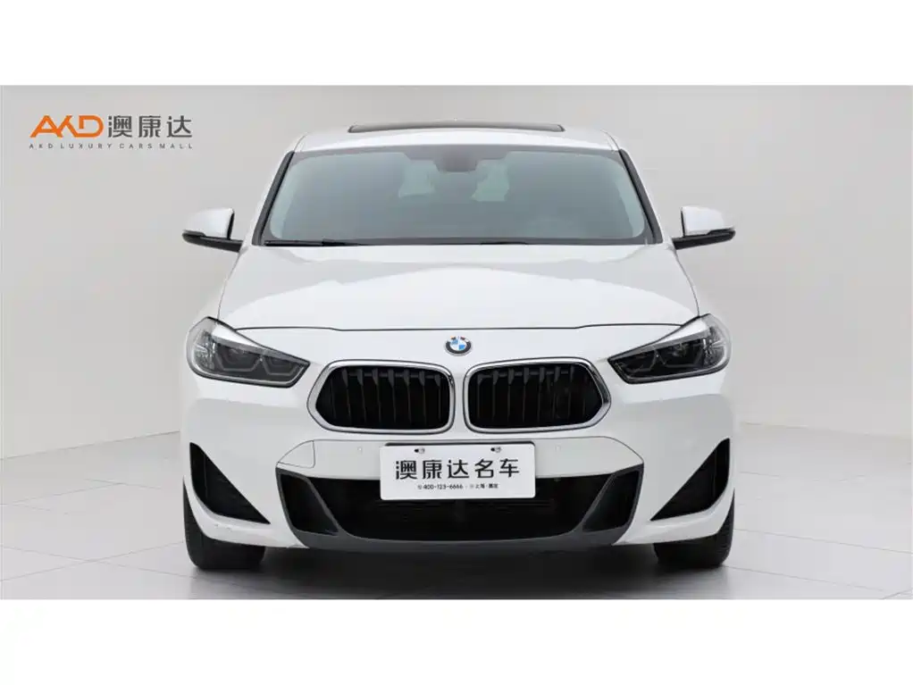 BMW X2 — миниатюра 2