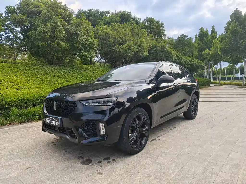 Wey Wey VV7 — миниатюра 3