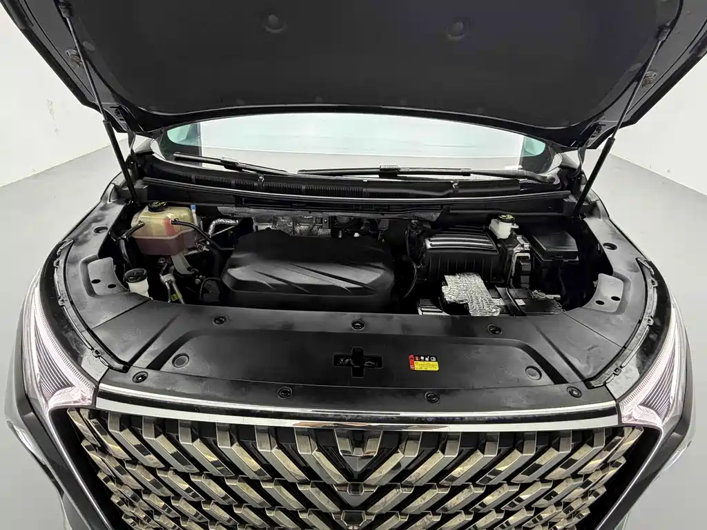 MAXUS G90 — миниатюра 14
