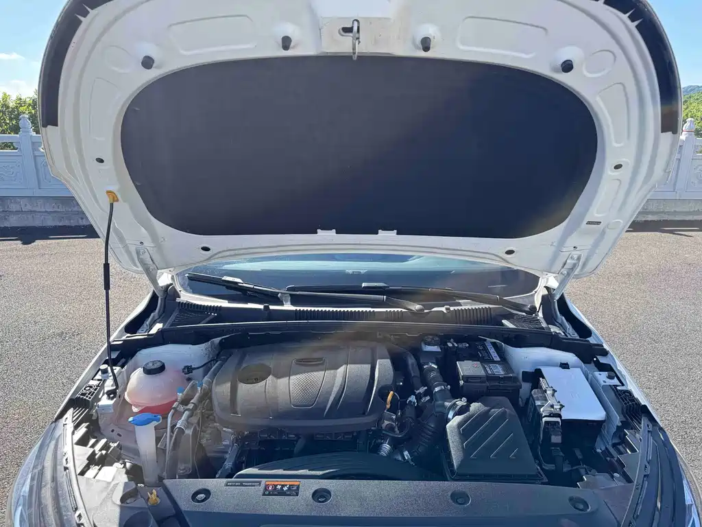 Geely Emgrand — миниатюра 19