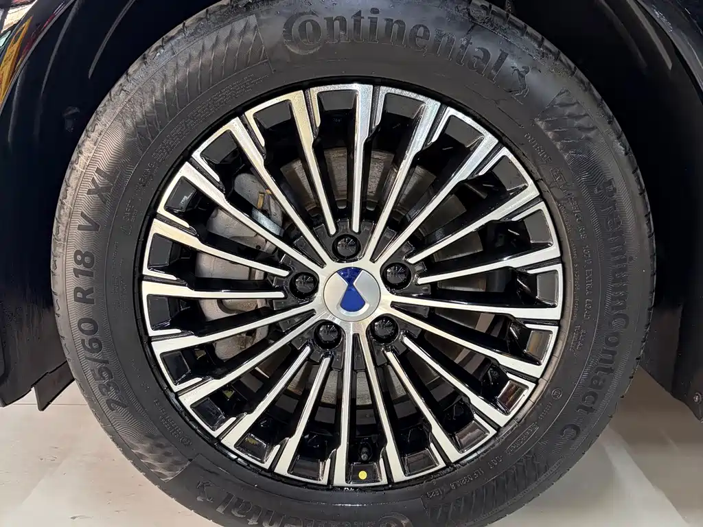 Denza Denza D9 — миниатюра 14