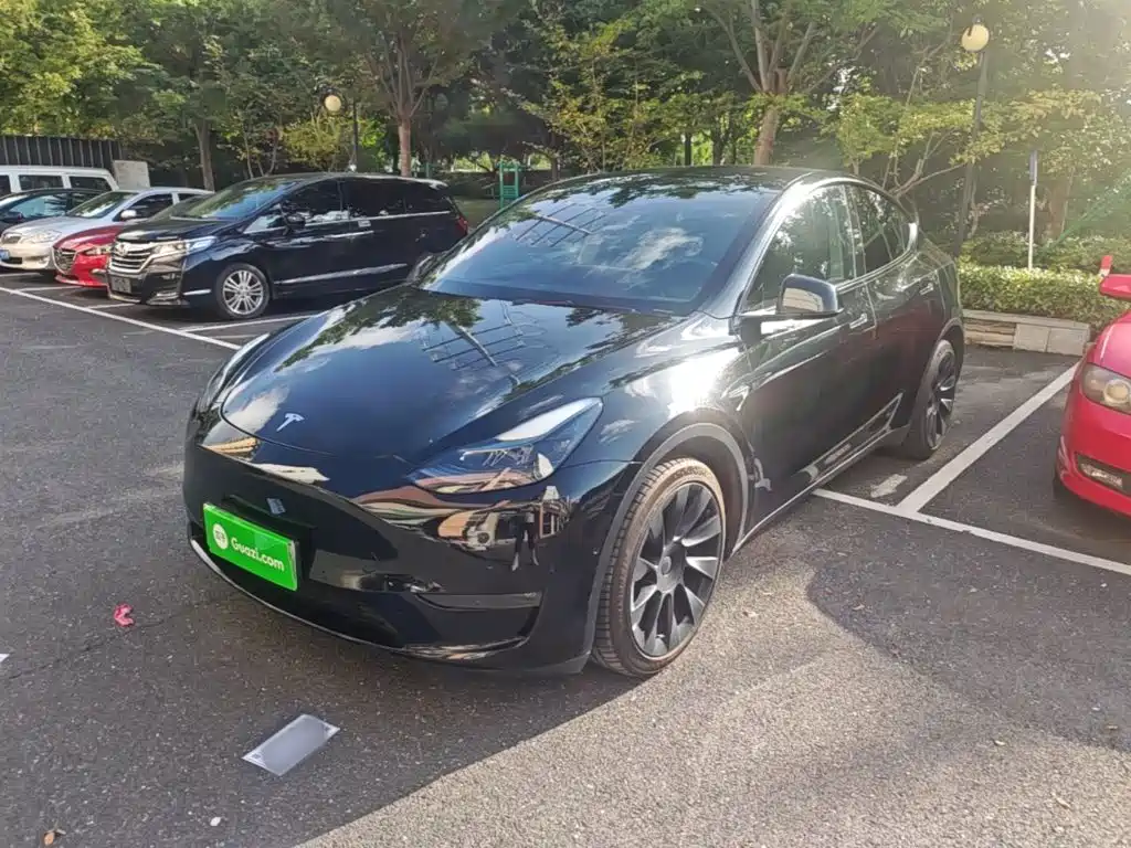 Tesla Model Y — миниатюра 2