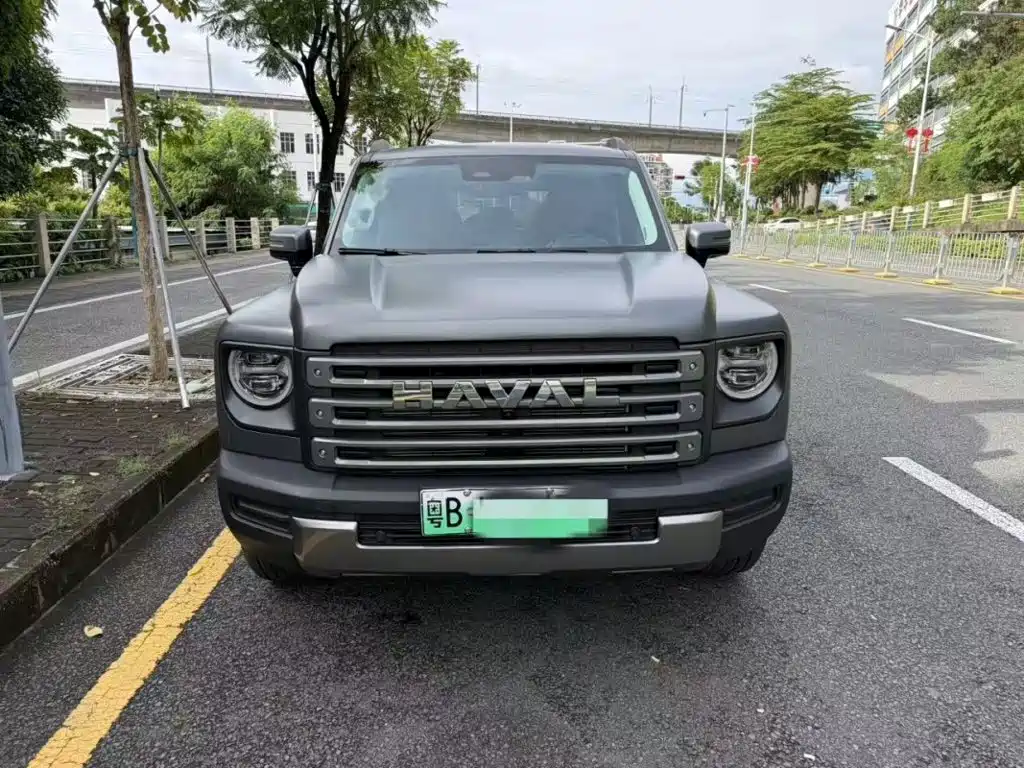 Haval Menglong New Energy — миниатюра 2