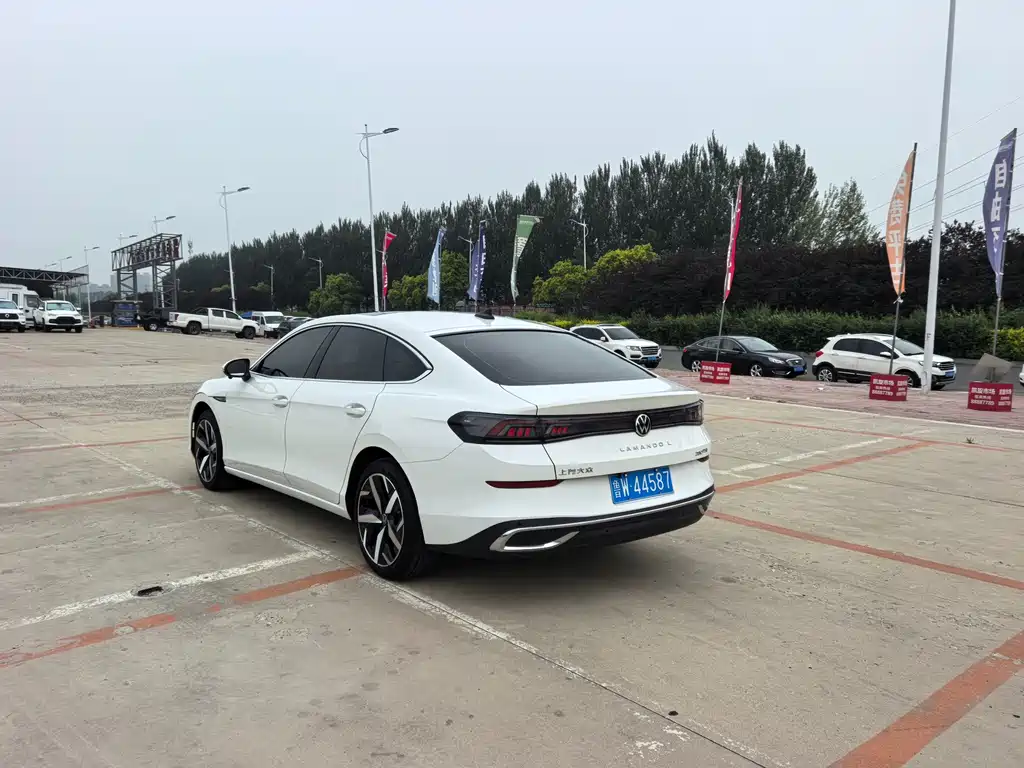 Volkswagen Lamando — миниатюра 6