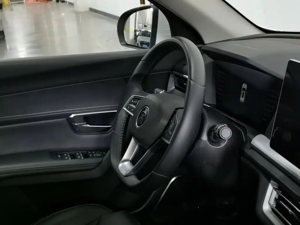 BYD Pro — миниатюра 22
