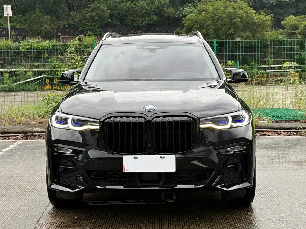 BMW X7 — миниатюра 2
