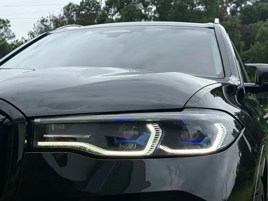BMW X7 — миниатюра 4
