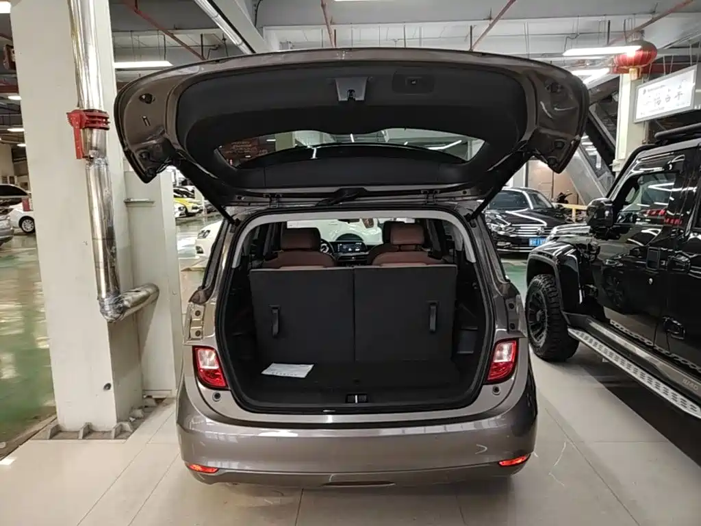 Buick GL6 — миниатюра 19