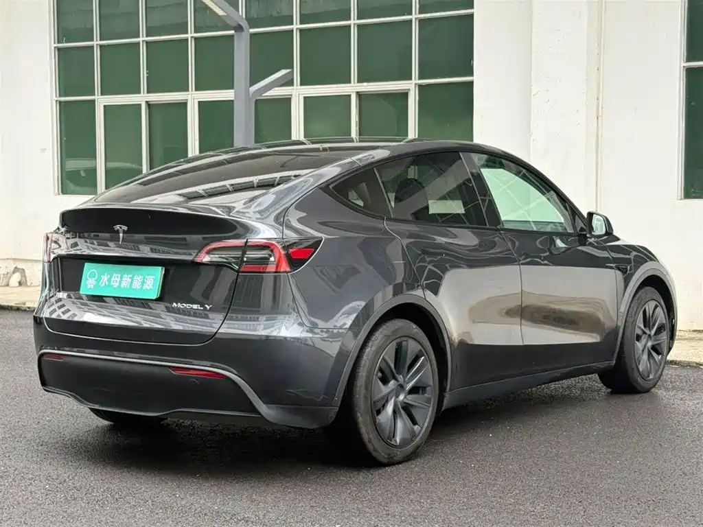 Tesla Model Y — миниатюра 11