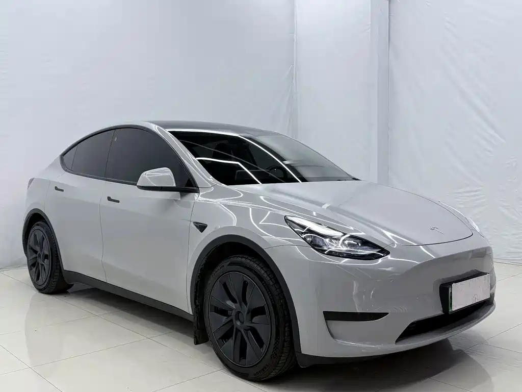 Tesla Model Y — миниатюра 3