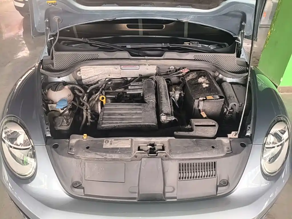 Volkswagen Beetle — миниатюра 20