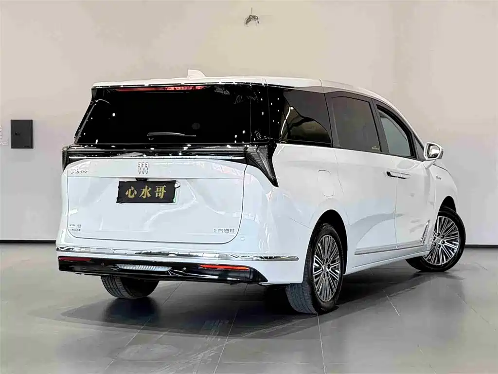 BUICK GL8 NEW ENERGY