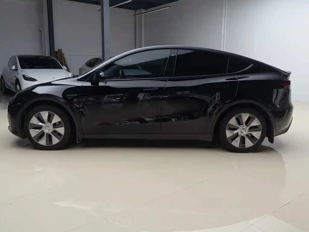 Tesla Model Y — миниатюра 8