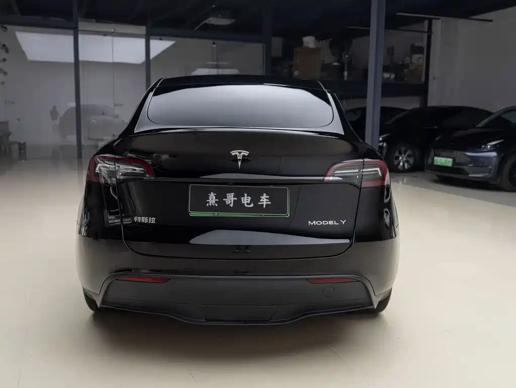 Tesla Model Y — миниатюра 5